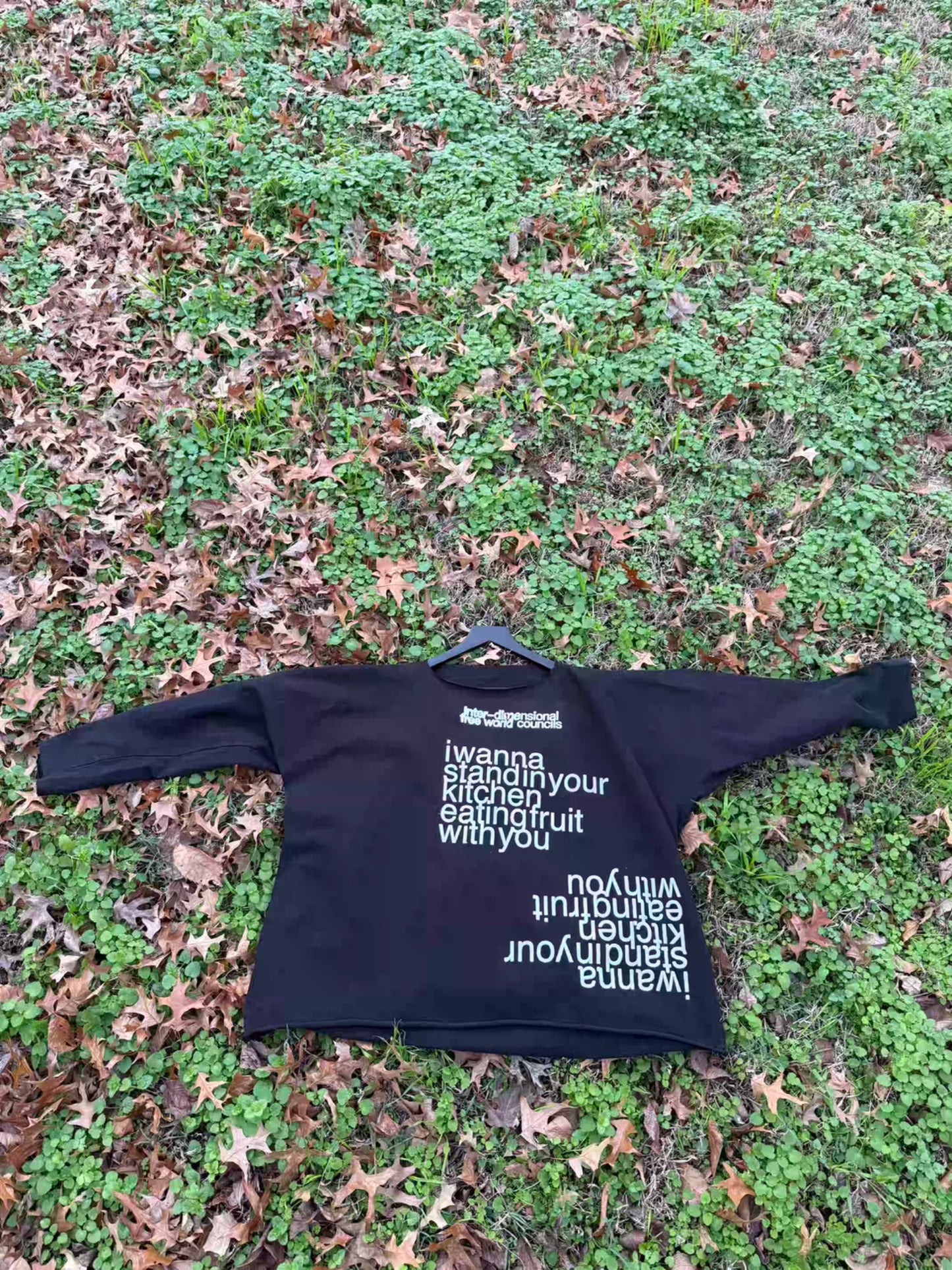 IFWC long sleeve (YZY) 2