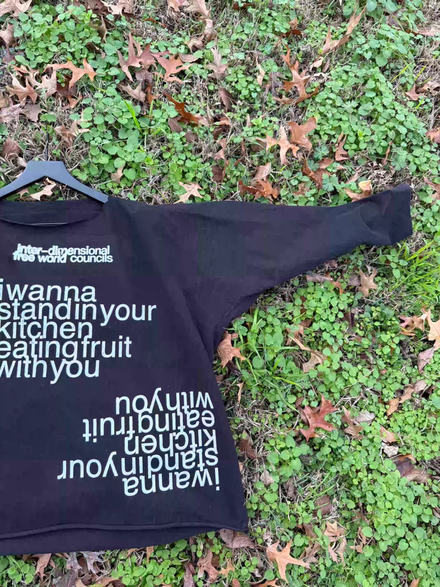 IFWC long sleeve (YZY) 2